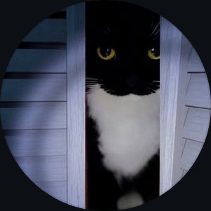 Black and white cat peeking through a doorway
